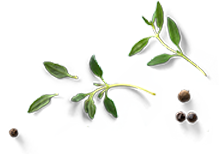 Le Restaurant - Bistrot du Min - Restaurant Cavaillon