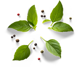 Le Restaurant - Bistrot du Min - Restaurant Cavaillon